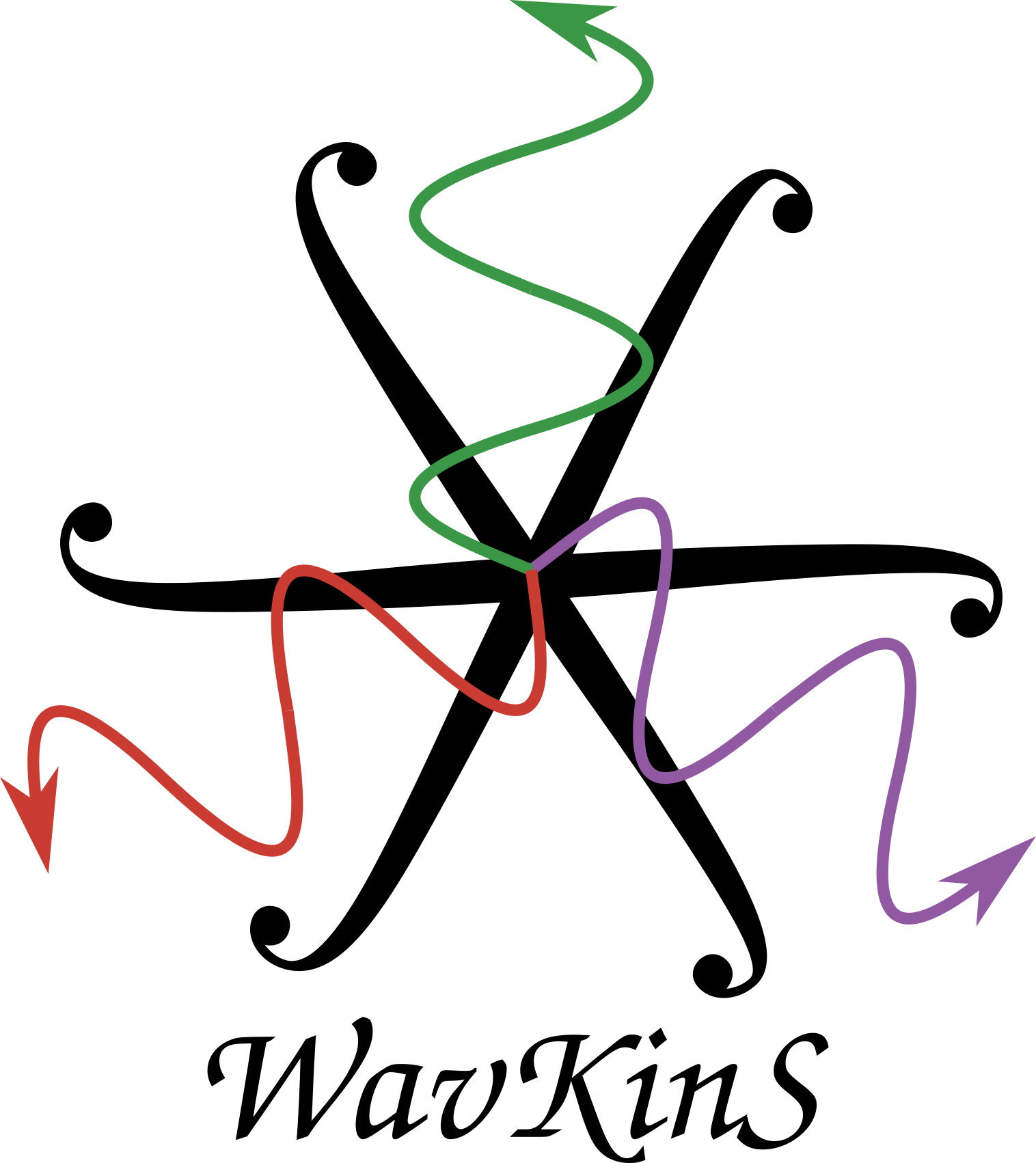 WavKinS.jl logo